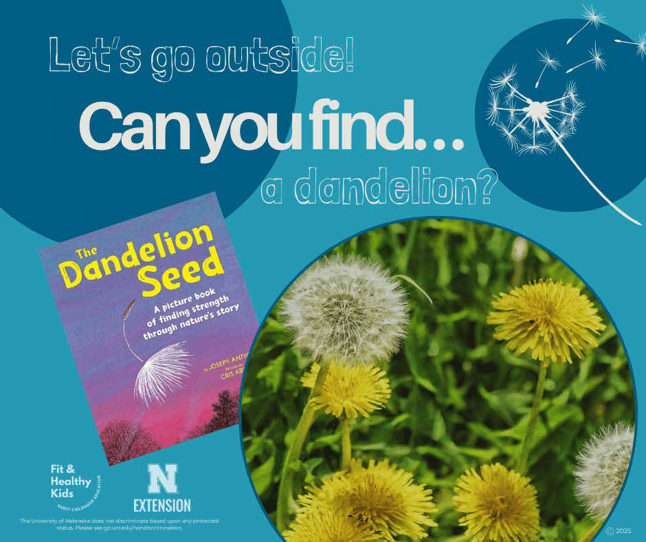 Can You Find A Dandelion?