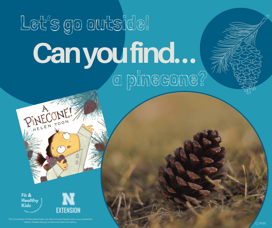 Can You Find A Pinecone?