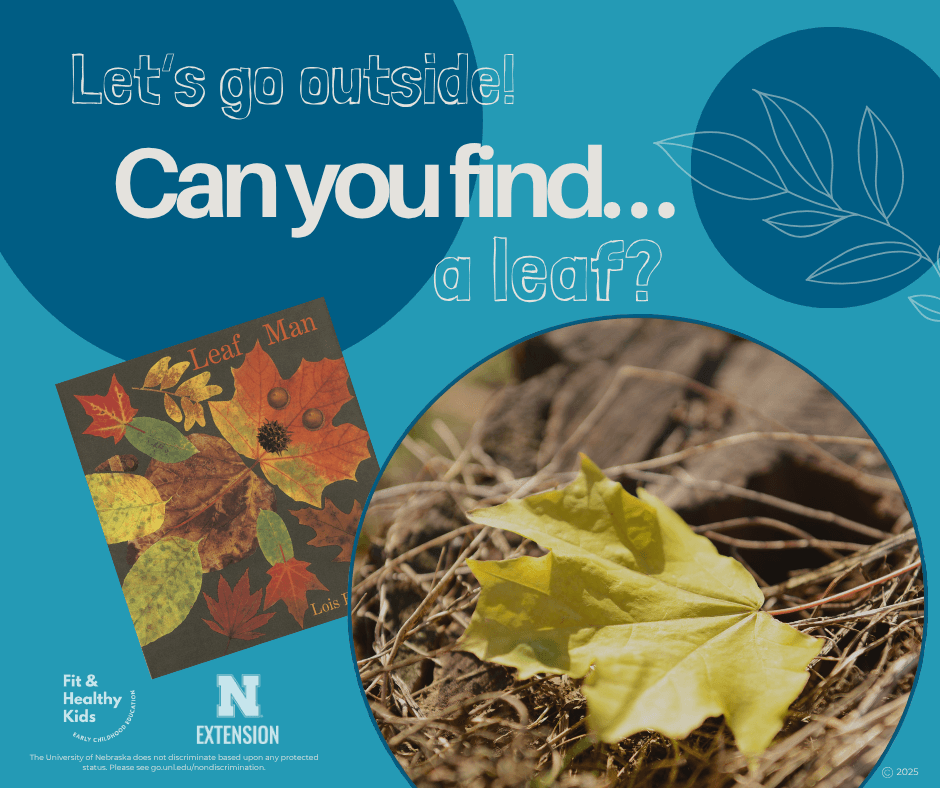 Can You Find A Leaf?
