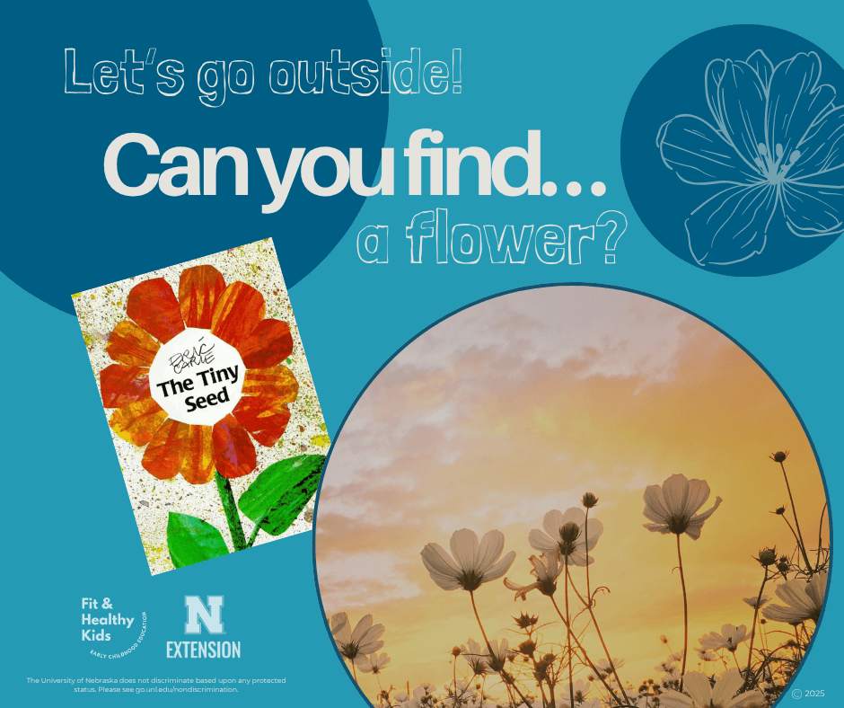 Can You Find A Flower?