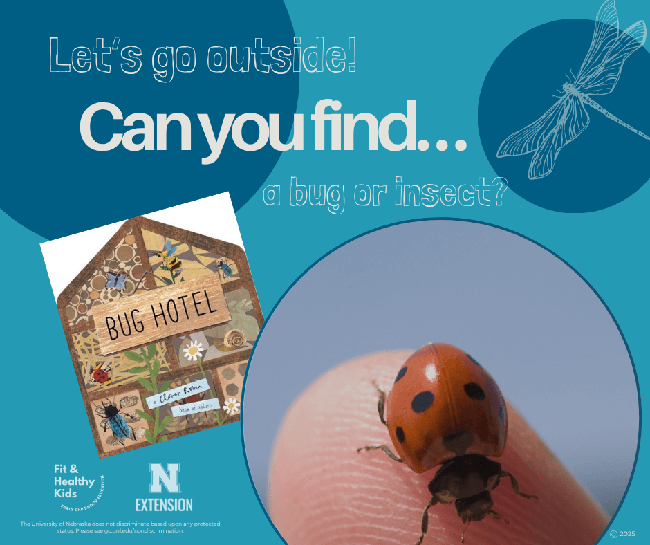 Can You Find An Insect?