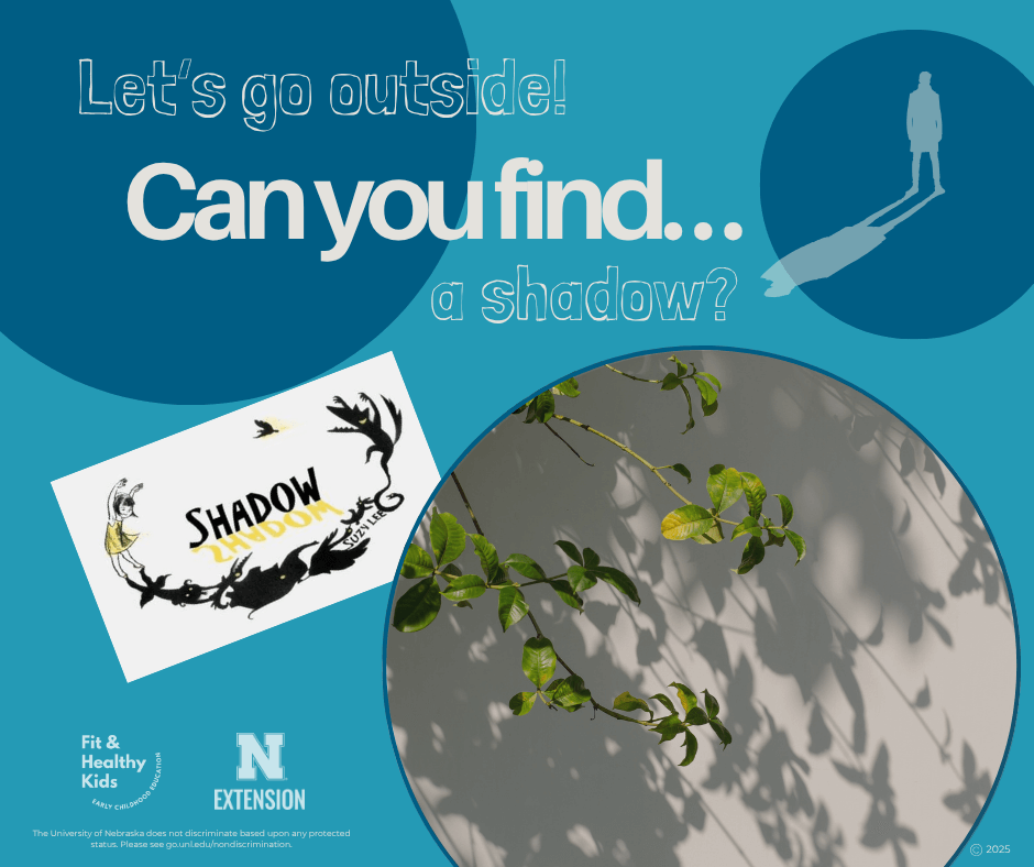 Can You Find Your Shadow?