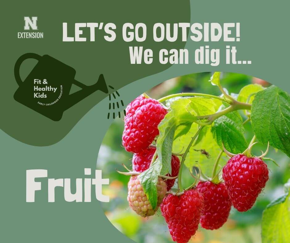 Seed to Snack!