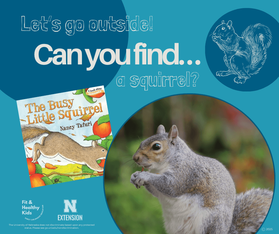 Can You Find A Squirrel?