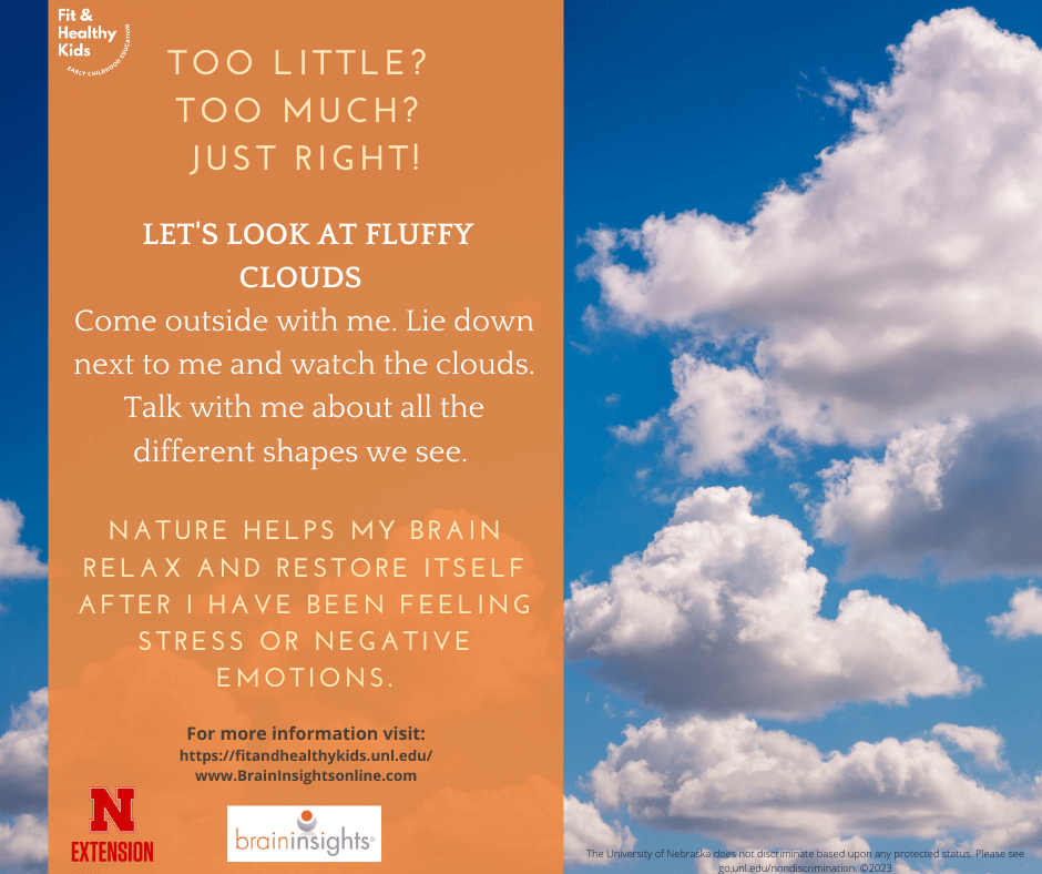 Let's Look at Fluffy Clouds