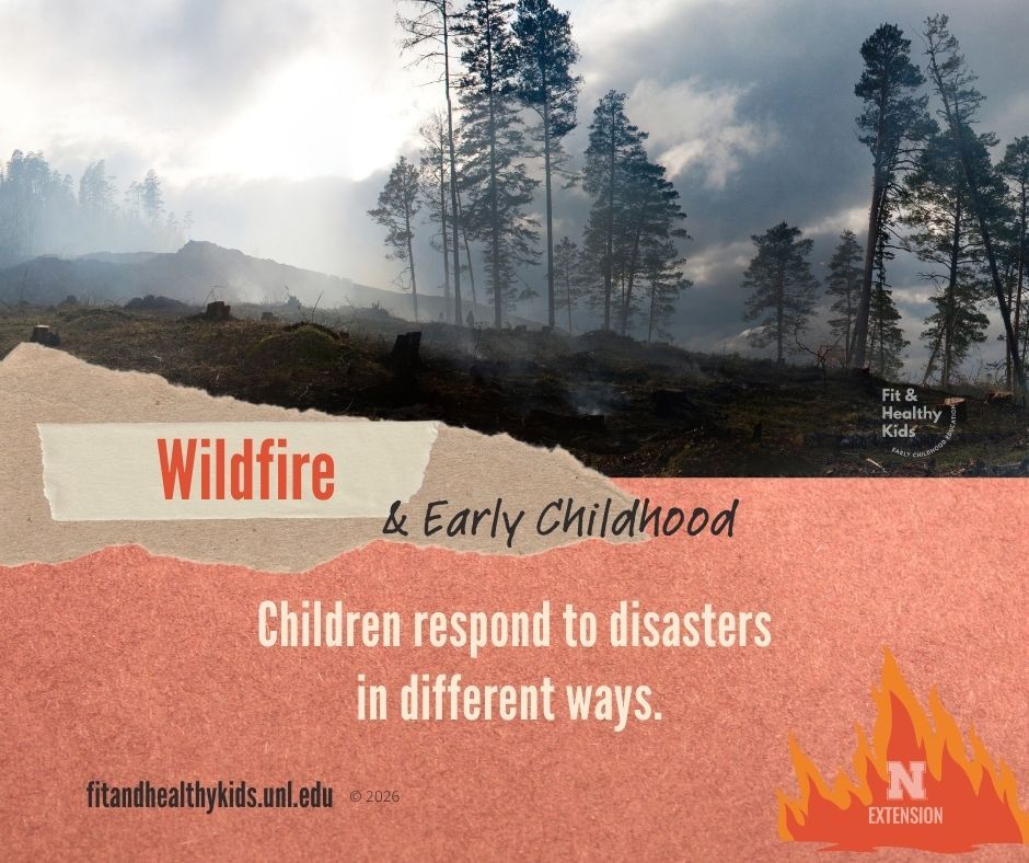 Children May Become Upset or Withdrawn - Wildfire