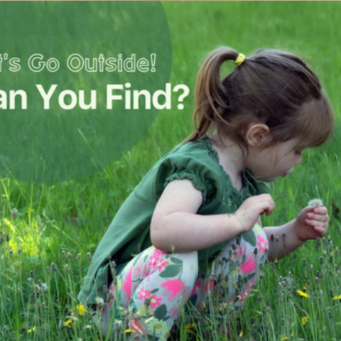 Let's Go Outside! Can You Find?