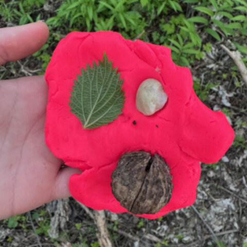 Tree Knot Clay Impressions