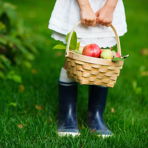 Food Fun for Young Children