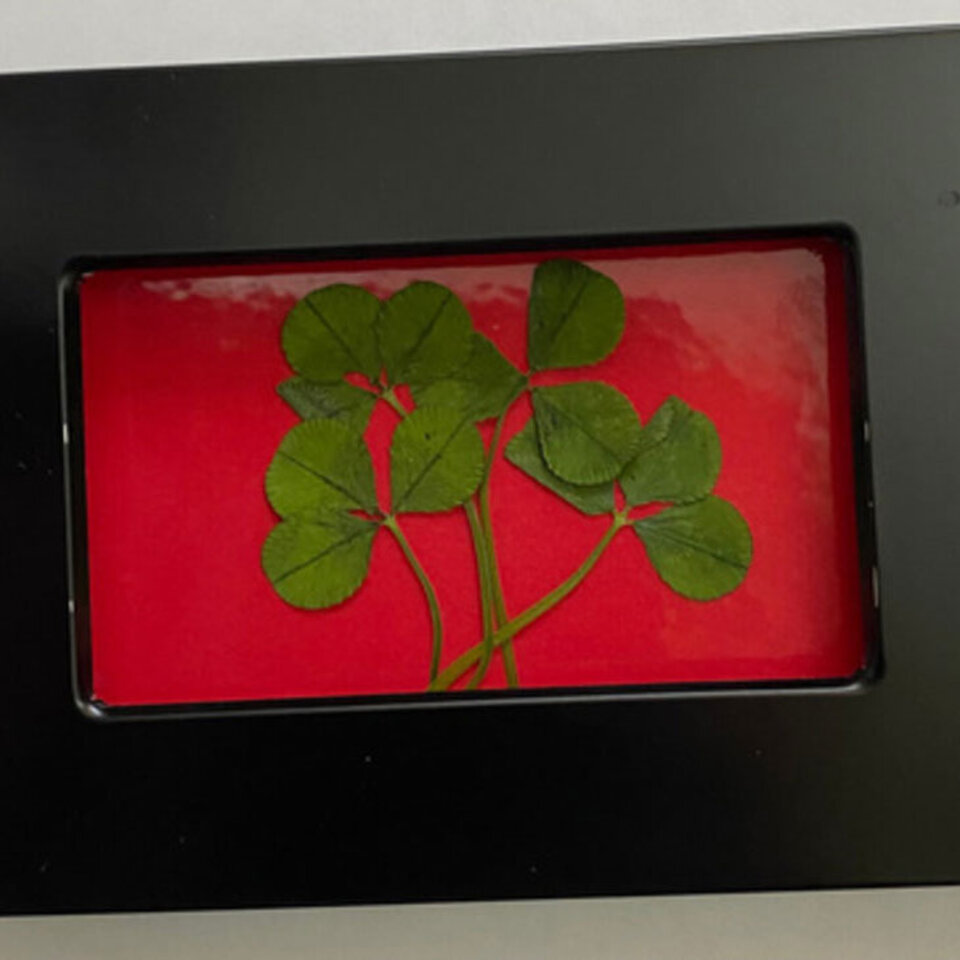 Clover press project.