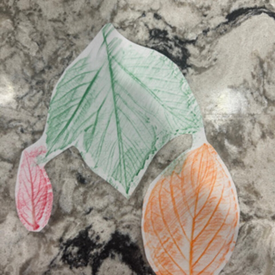 Leaf Rubbing Art