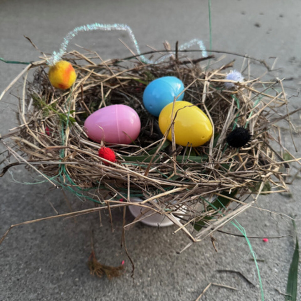 Nest Balancing Challenge Image