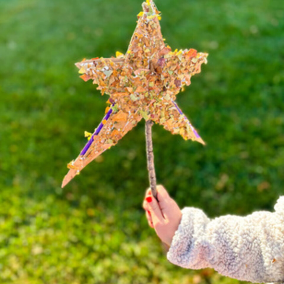 Stick Wand Image