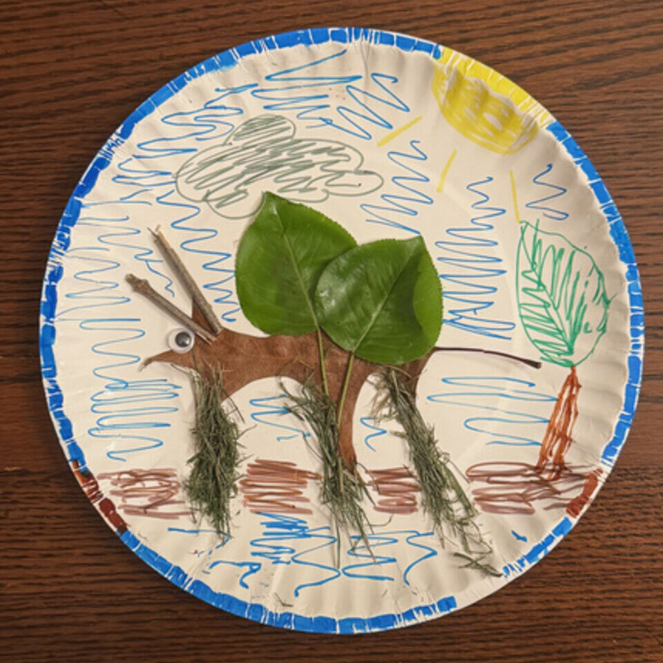 Nature Bug project.