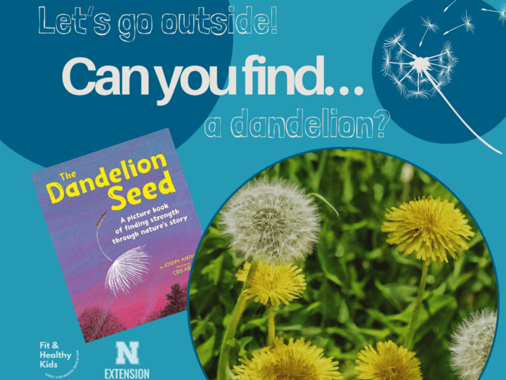 Can you find a dandelion image