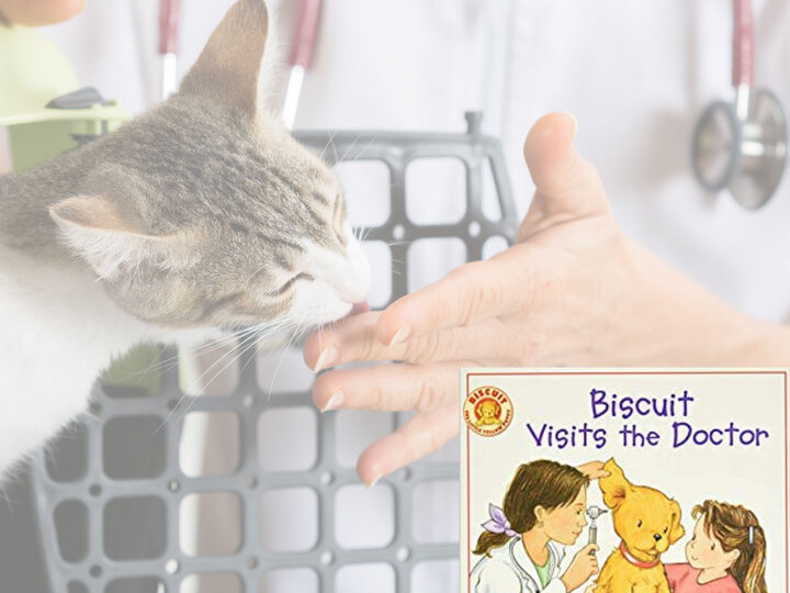 Viscuit Visits the Doctor Book Cover.