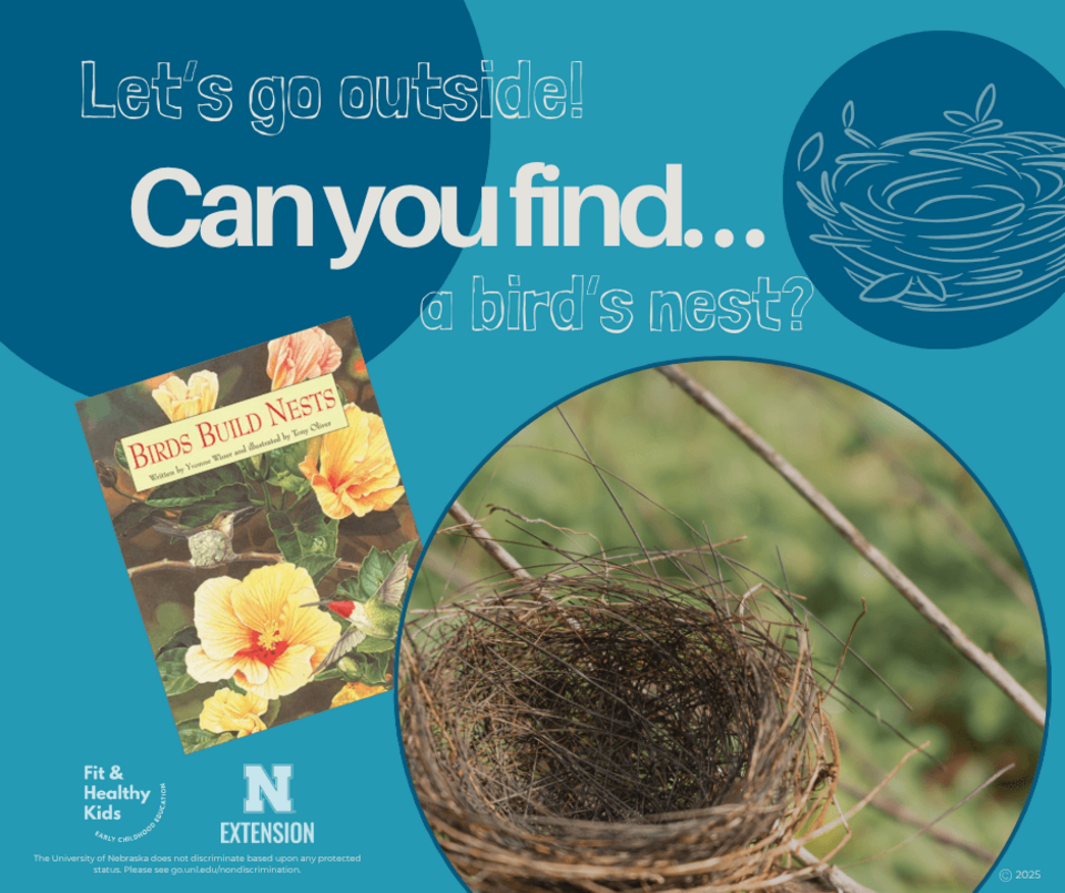 Can You Find A Bird's Nest Social Media Image