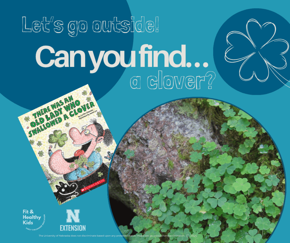 Can You Find A Clover Social Media Image