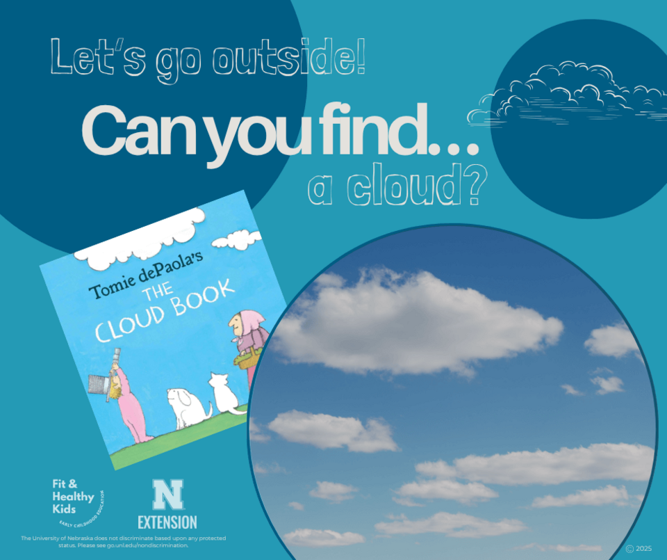 Can You Find A Cloud Image