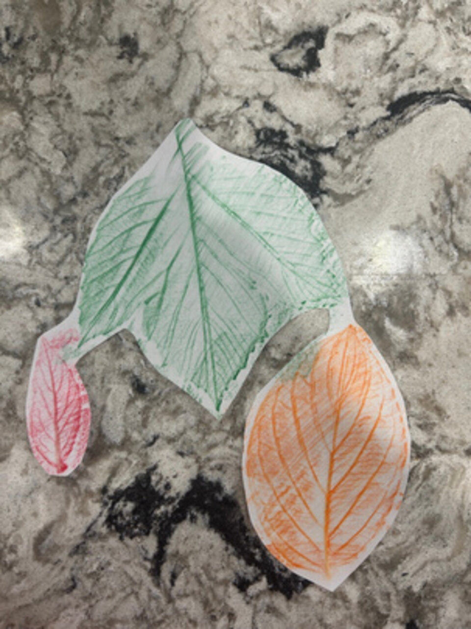 Leaf Rubbing Art