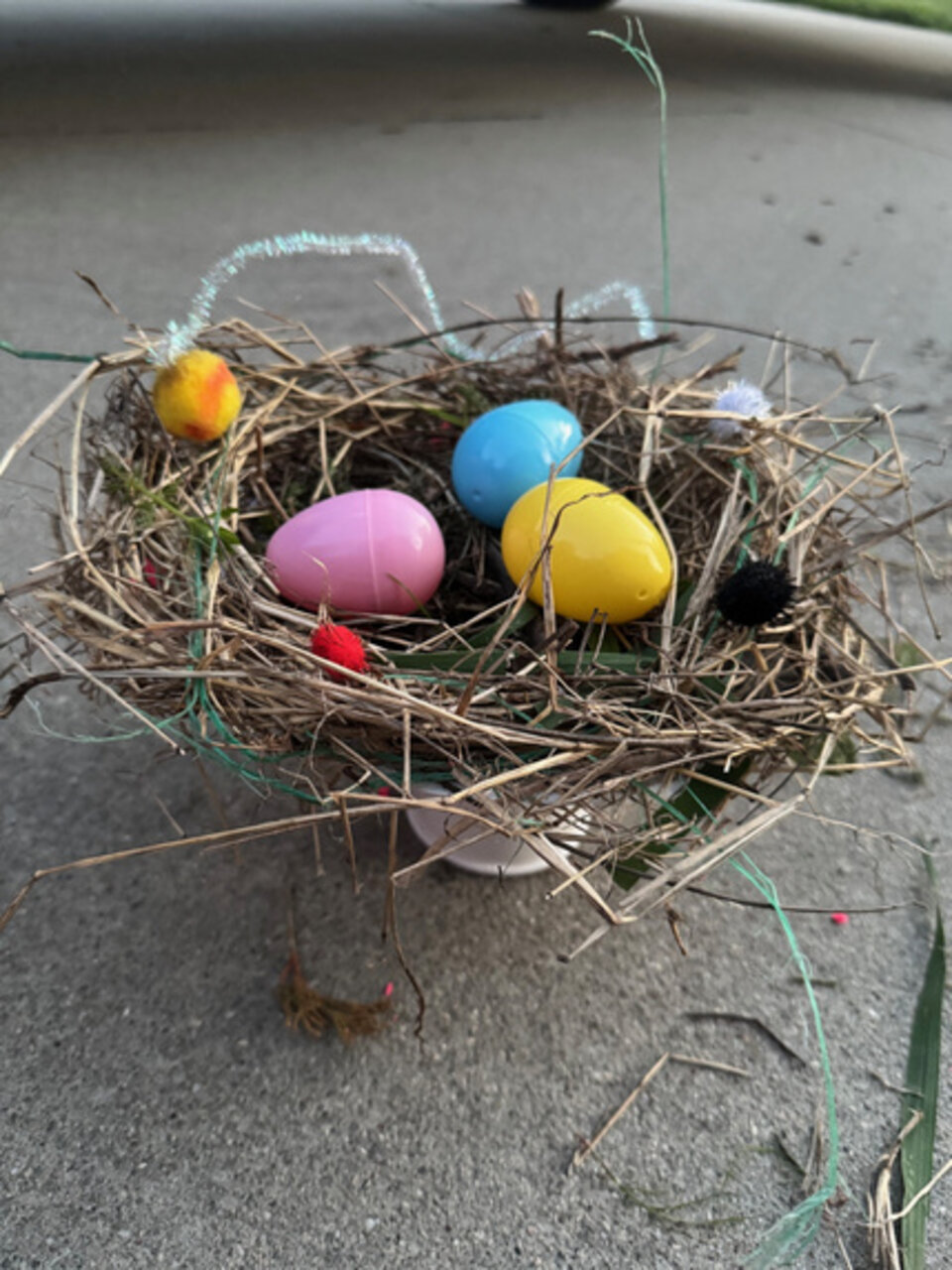 Nest Balancing Challenge Image