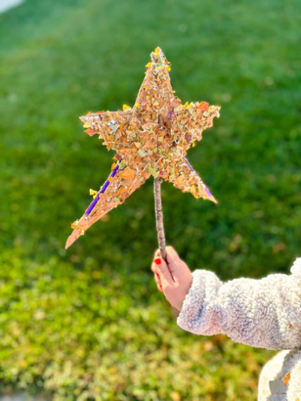 Stick Wand Image