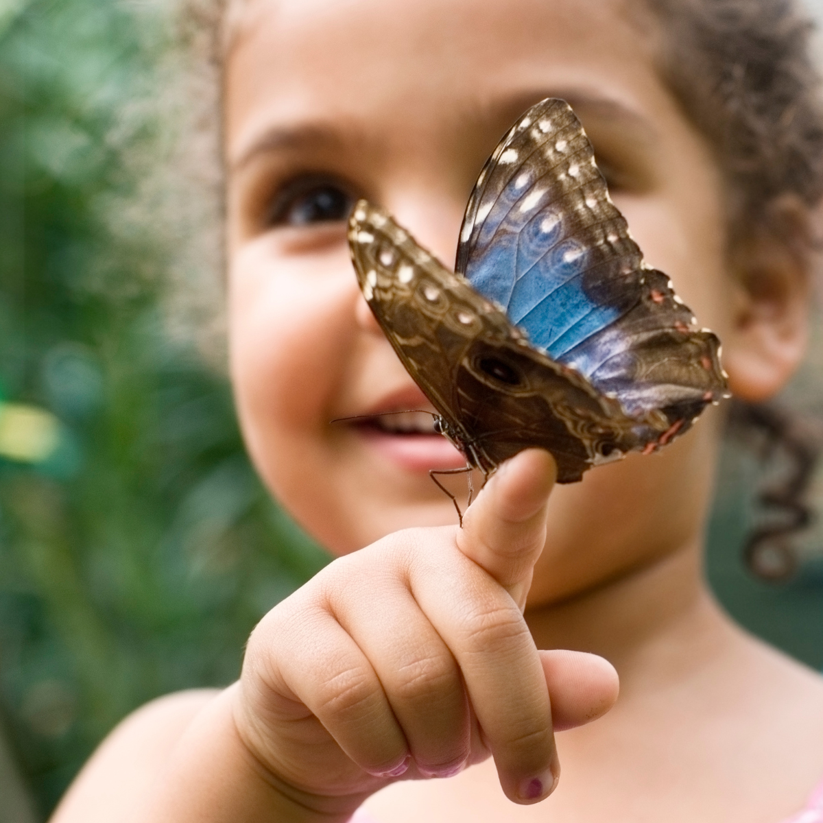 Girl with butterfly on finger